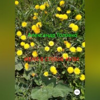 . Женя в стране Кузи