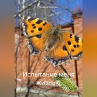 Виорика Солинка. Испытание меня жизнью