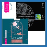 . Ангелы: личные встречи с Божественными Существами Света. Трансерфинг реальности. Ступень I: Пространство вариантов