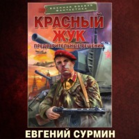 Евгений Сурмин. Красный Жук. Предварительные решения