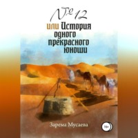 . № 12, или История одного прекрасного юноши