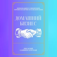 Пегасий Сайберсамурай. Домашний бизнес
