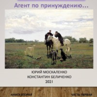 . Дворянин. Книга 2. Часть 1. Агент по принуждению