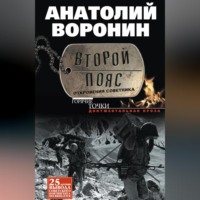 Анатолий Воронин. Второй пояс. Откровения советника
