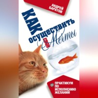 Андрей Баратов. Как осуществить свои мечты