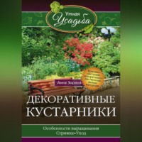 . Декоративные кустарники