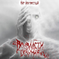 Кир Николаевич Неизвестный. Во власти безумия