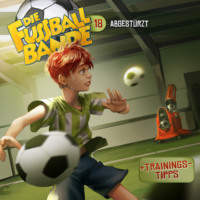 . Die Fussballbande, Folge 18: Abgest?rzt!