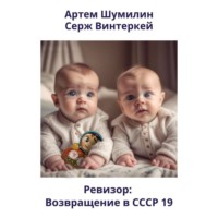 . Ревизор: возвращение в СССР 19