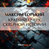 . Краткий очерк скверной истории