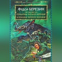 . В прицеле черного корабля