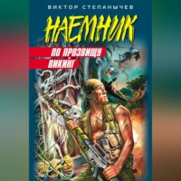 Виктор Степанычев. По прозвищу Викинг