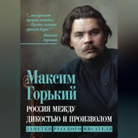 . Россия между дикостью и произволом. Заметки русского писателя