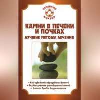 Павел Николаевич Мишинькин. Камни в почках и печени