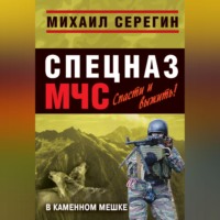 Михаил Серегин. В каменном мешке