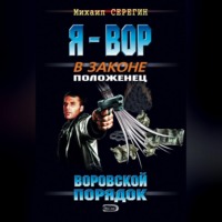 Михаил Серегин. Воровской порядок