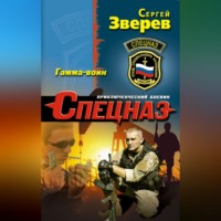 Сергей Зверев. Гамма-воин