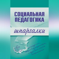 Д. В. Альжев. Социальная педагогика