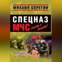 Михаил Серегин. Седьмая версия