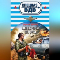 Сергей Зверев. Небесный шторм