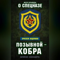 Эркебек Абдуллаев. Позывной – Кобра. Записки «каскадера»