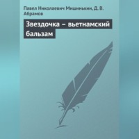 Павел Николаевич Мишинькин. Звездочка – вьетнамский бальзам