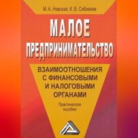 Марина Александровна Невская. Малое предпринимательство: взаимоотношения с финансовыми и налоговыми органами