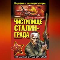 Владимир Першанин. Чистилище Сталинграда. Штрафники, снайперы, спецназ (сборник)