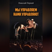 Николай Пернай. Мы управляем, нами управляют