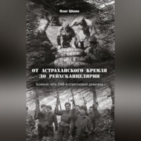 Олег Шеин. От Астраханского кремля до Рейхсканцелярии. Боевой путь 248-й стрелковой дивизии