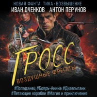 . Воздушные фрегаты. Гросс