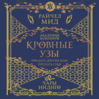 Райчел Мид. Чары индиго