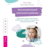 Рэйчел Кац. Эмоциональный интеллект ребенка. Эффективные стратегии воспитания сознательных, склонных к сотрудничеству и уравновешенных детей