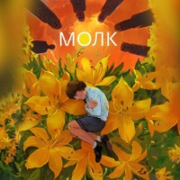 Анастасия Шолохова. Молк