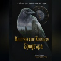 Кейтлин Эмилия Новак. Магическое кольцо Бродгара «Наследство». Книга 1