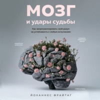 Йоханнес Фрайтаг. Мозг и удары судьбы. Как запрограммировать свой разум на устойчивость к любым испытаниям
