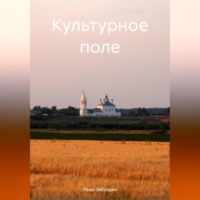 Паша Забродин. Культурное поле