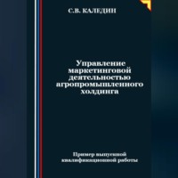 . Управление маркетинговой деятельностью агропромышленного холдинга