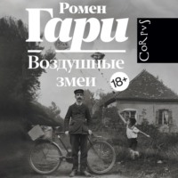 . Воздушные змеи