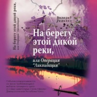 Валерий Редькин. На берегу этой дикой реки, или Операция «Ликвидация»
