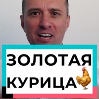 Концепт «Золотая курица»