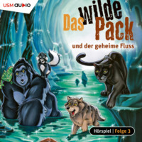 Andr? Marx. Das wilde Pack, Folge 3: Das wilde Pack und der geheime Fluss