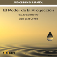. El Poder De La Proyecci?n. El Decreto