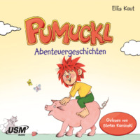 . Pumuckl - Abenteuergeschichten