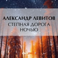 Александр Левитов. Степная дорога ночью