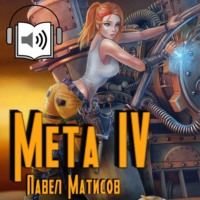 Павел Матисов. Мета IV