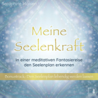 Seraphine Monien. Meine Seelenkraft - In einer meditativen Fantasiereise den Seelenplan erkennen