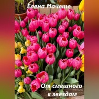 . От смешного к звездам