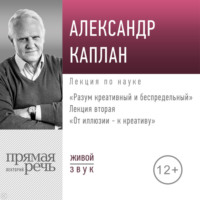 Александр Каплан. Лекция «От иллюзии к креативу»