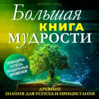 Мэттью Уайлд. Большая книга МУДРОСТИ. Древние знания для успеха и процветания